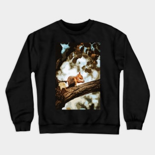 Squirrel cartoon Crewneck Sweatshirt